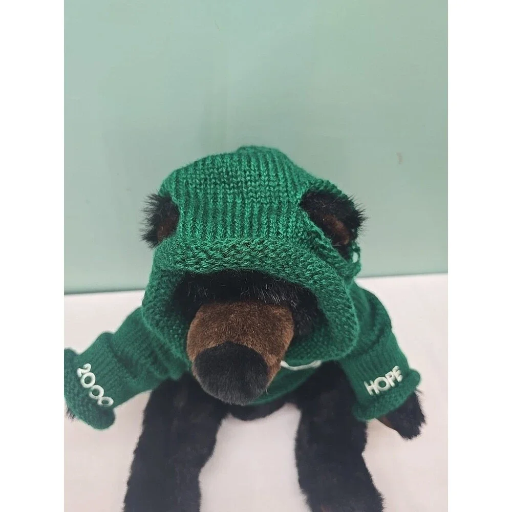International Art Enterprise Co Grizzly Bear Fuzzy Bear With Sweater And Hoodie